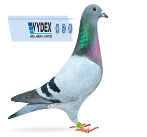 Vydex Animal Health